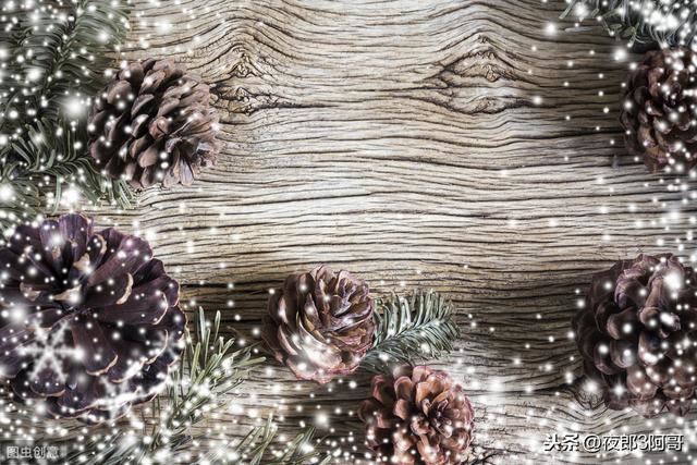 松树上很值钱的3样东西，农民不知道，每年都烂在山里