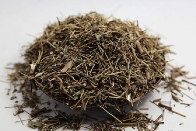 此草乡下很常见,农民常用它喂猪养鸭,但其实它是名贵中草药 此草乡下很常见,农民常用它喂猪养鸭,但其实它是名贵中草药