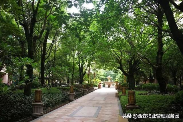 2020年：小区物业园林绿化养护要做好哪些工作？