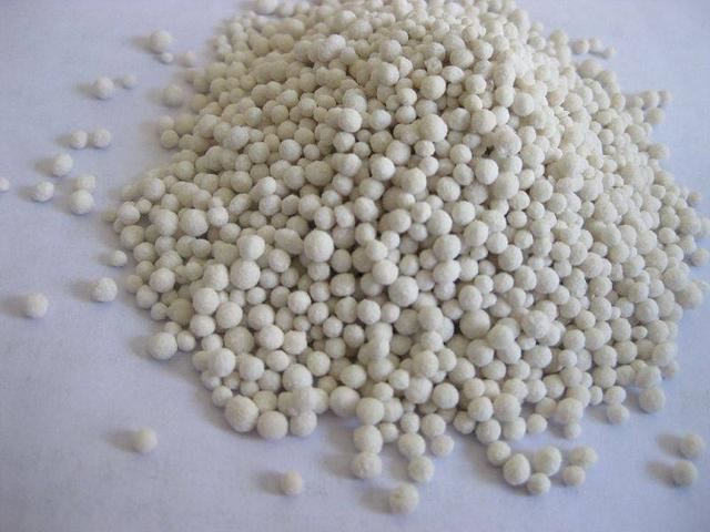 春夏不养绣球花太亏了，要满足这4个要求，长得格外茂盛花芽更多