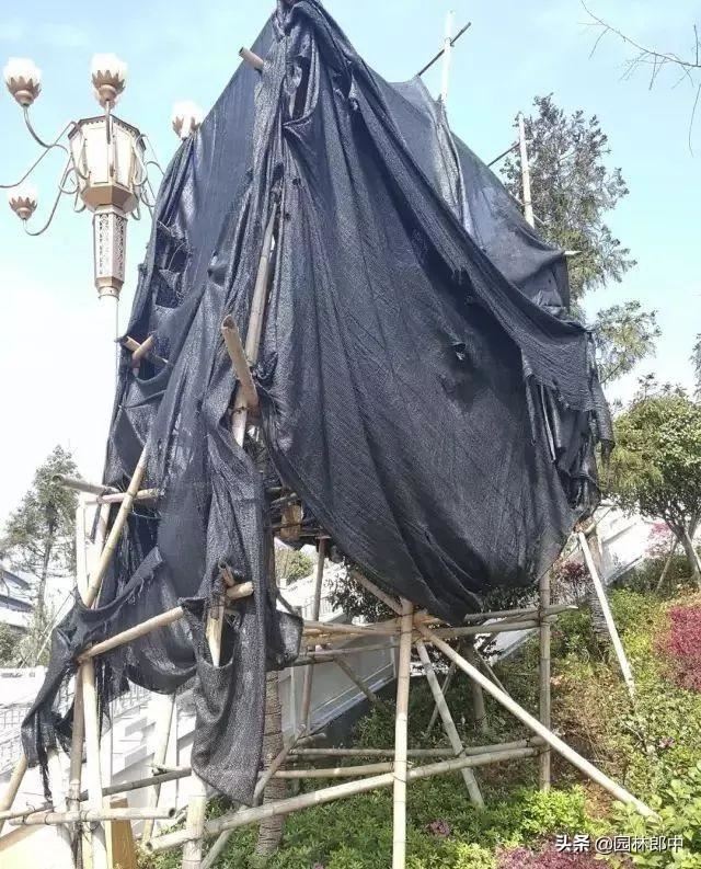 高温季节移栽树木使用遮阴网本是好事，可用错了反而起到反作用