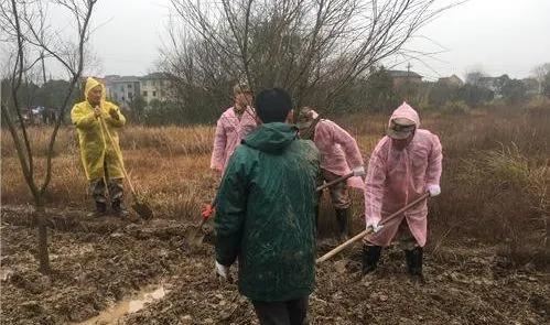 你的栽种方法，可能正在加速苗木死亡