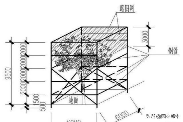高温季节移栽树木使用遮阴网本是好事，可用错了反而起到反作用