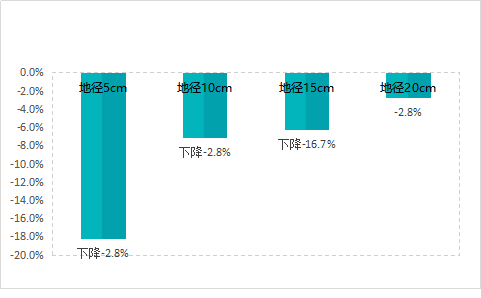 2020年上半年五角枫绿化苗木最新市场参考价格