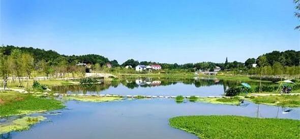 国土绿化行动|湖南：国土绿化取得明显成效