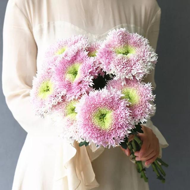 百合花爱凉爽，康乃馨别喷水？最经典的几款鲜花，这样保养才最美