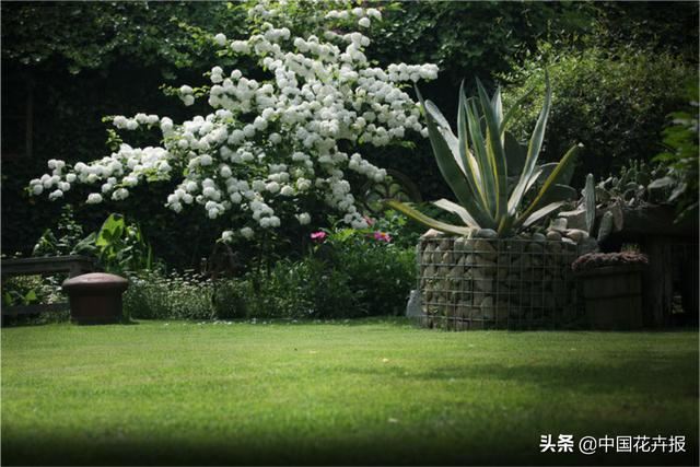 神奇两兄妹，各把花园做到极致，一恢弘，一精致，余生有此，足以