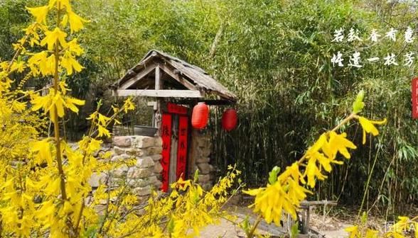 2020年，你没见过的大珠山杜鹃花会，我来带你看一看