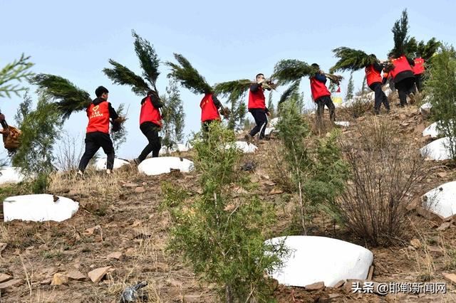 春风吹出满眼绿，邯郸永年大力开展荒山绿化