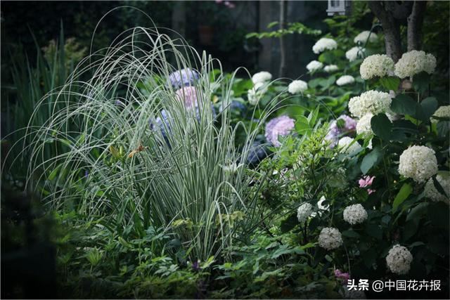 神奇两兄妹，各把花园做到极致，一恢弘，一精致，余生有此，足以