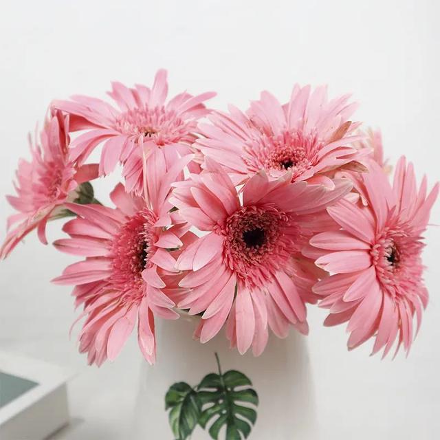 百合花爱凉爽，康乃馨别喷水？最经典的几款鲜花，这样保养才最美