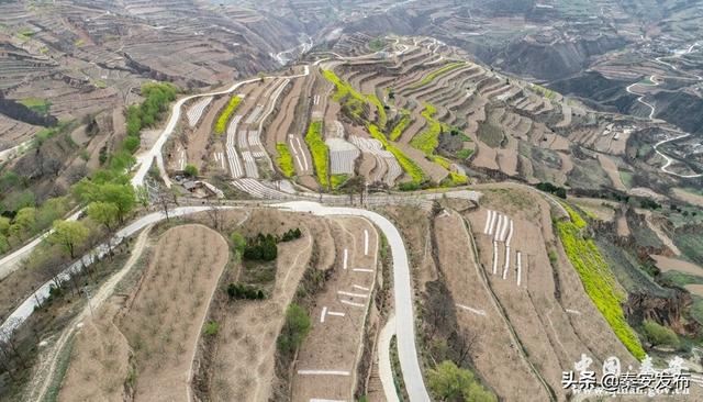 【造林绿化】王窑镇: 推进绿化美化 建设美丽乡村