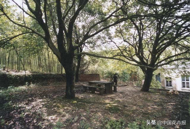 神奇两兄妹，各把花园做到极致，一恢弘，一精致，余生有此，足以
