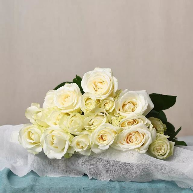 百合花爱凉爽，康乃馨别喷水？最经典的几款鲜花，这样保养才最美