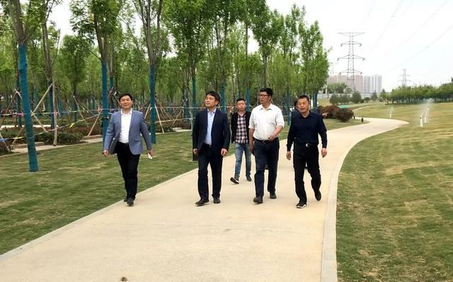 全力打造精品绿化景观！