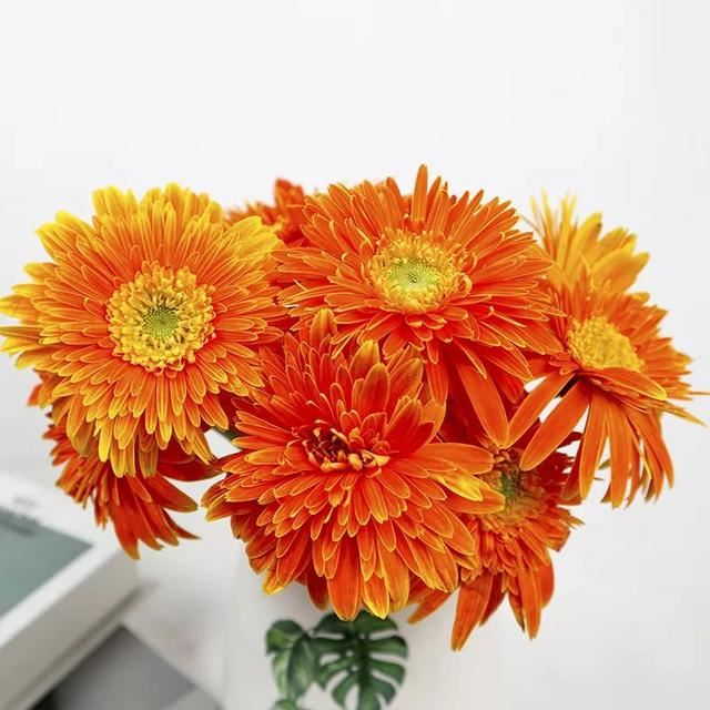百合花爱凉爽，康乃馨别喷水？最经典的几款鲜花，这样保养才最美