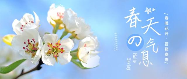 百合花爱凉爽，康乃馨别喷水？最经典的几款鲜花，这样保养才最美