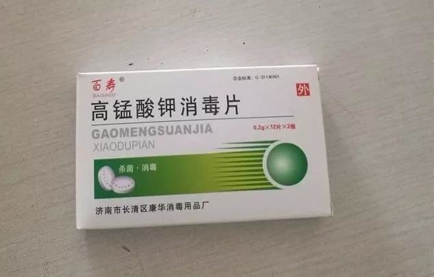 檀香石斛：“待我枝头飘花，许你满庭幽雅！"
