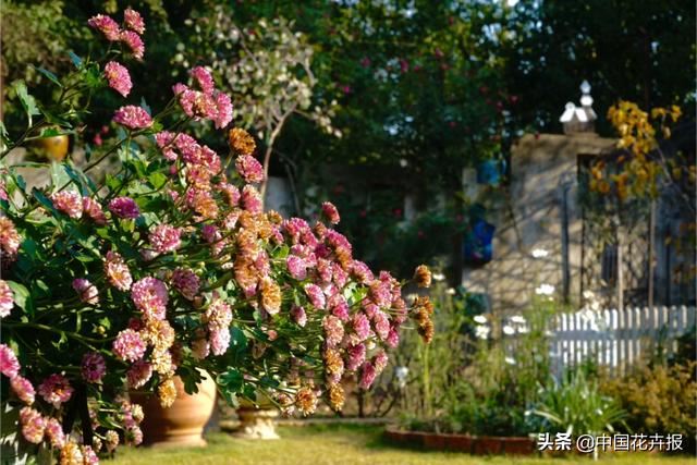 神奇两兄妹，各把花园做到极致，一恢弘，一精致，余生有此，足以