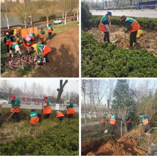 栽植绿植15万余株 潍坊开展春季绿化提升行动
