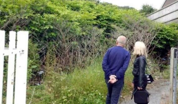 1850年，一株漂亮的植物被带回英国，一场可怕的物种入侵随之开启