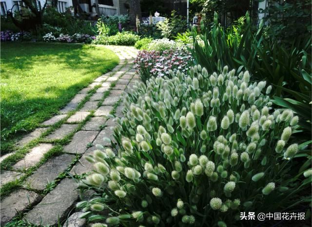 神奇两兄妹，各把花园做到极致，一恢弘，一精致，余生有此，足以
