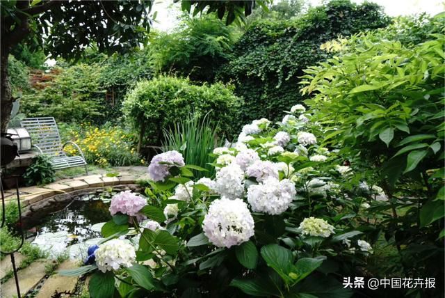 神奇两兄妹，各把花园做到极致，一恢弘，一精致，余生有此，足以