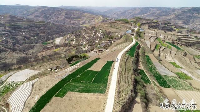 【造林绿化】王窑镇: 推进绿化美化 建设美丽乡村