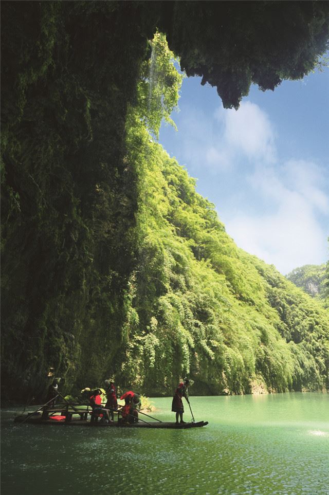 盘点2019国土绿化成绩显著