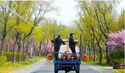 栽植绿植15万余株 潍坊开展春季绿化提升行动