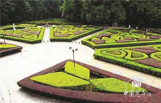 配置“十八字”尽显植物之美 