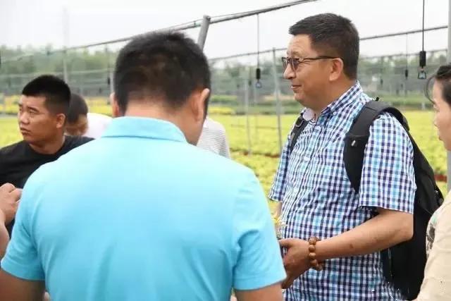 种树无时，只要树不知？这才是苗木生长和移植的秘诀！