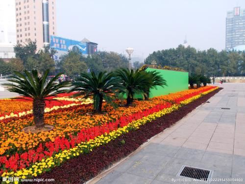 35种最常见路边草花，“五一”赏花必备，涨姿势了