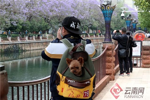 昆明：盘江“梦幻蓝”美景如画廊