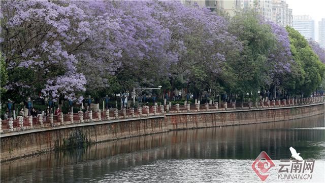 昆明：盘江“梦幻蓝”美景如画廊