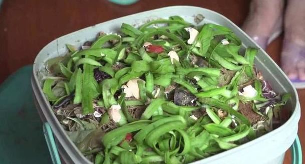 打算给花草换盆，却苦于没钱买营养土？不怕，用这些废料就够了