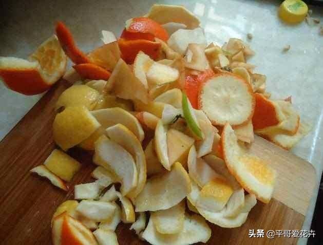家里养栀子、茉莉，盆里加“2种肥”，注意这2点，根系壮、枝叶茂