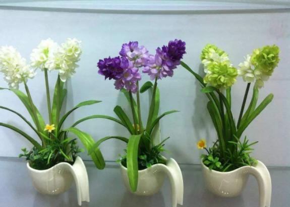 见到草木灰别再傻傻丢掉，用它做花肥，植株叶茂根肥、开花美