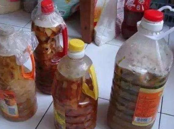 打算给花草换盆，却苦于没钱买营养土？不怕，用这些废料就够了