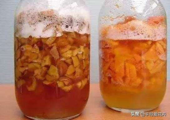 家里养栀子、茉莉，盆里加“2种肥”，注意这2点，根系壮、枝叶茂