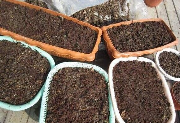 打算给花草换盆，却苦于没钱买营养土？不怕，用这些废料就够了