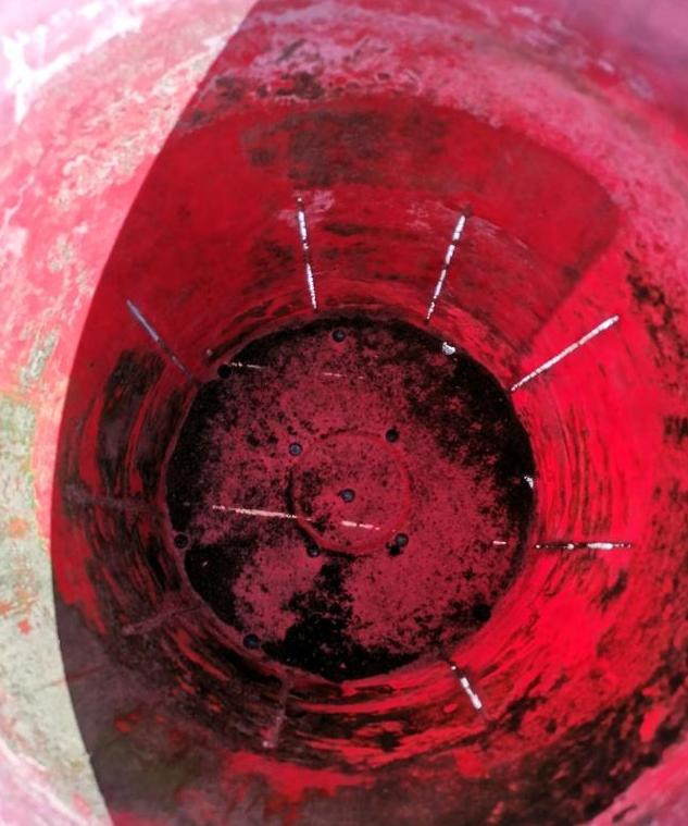 菊花浇水过多烂根怎么办？教你一招，这样去处理，问题轻松解决
