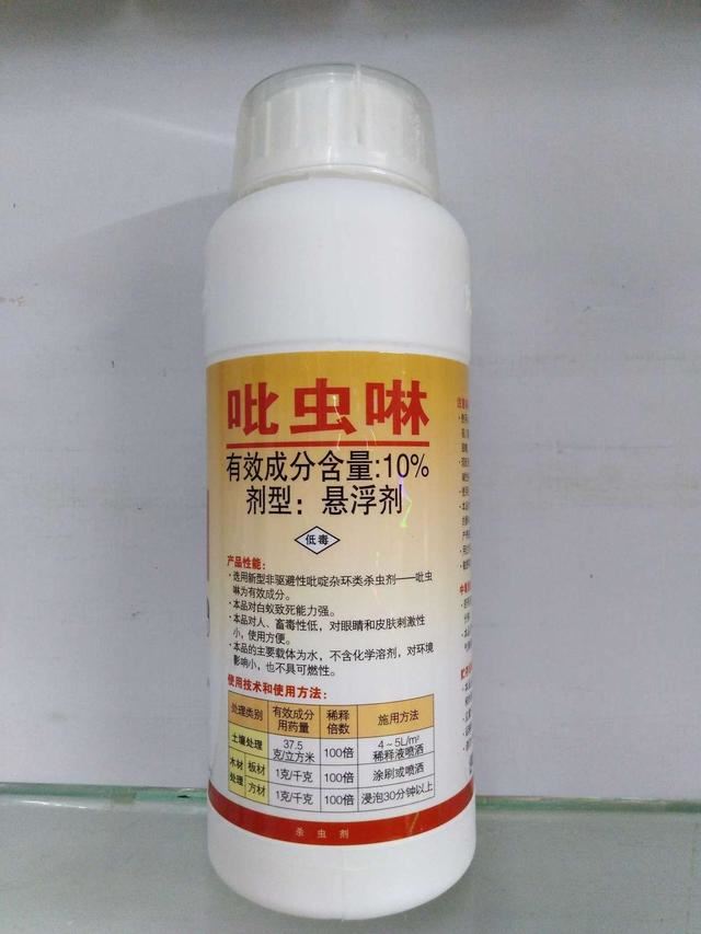 月季能招来各种虫子，家里备着“吡虫啉”，加上这3点，根壮花多