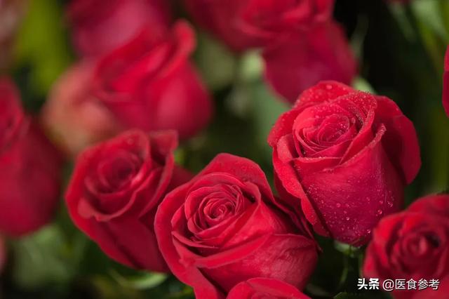 鲜花怡情，花香还能祛病，这些花香的奇妙疗法赏花时别错过