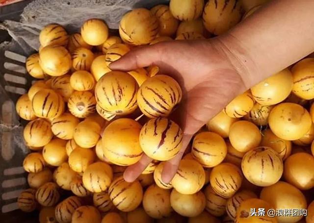 开普敦吊钟花、悬星藤，绚丽多彩旋果花，颜值爆表蓝花茄，人参果