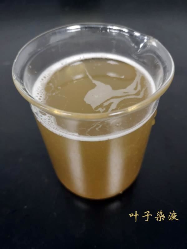 植物染料——栾树