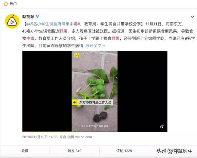 踏青千万注意，这些野果子经常有孩子误食中毒