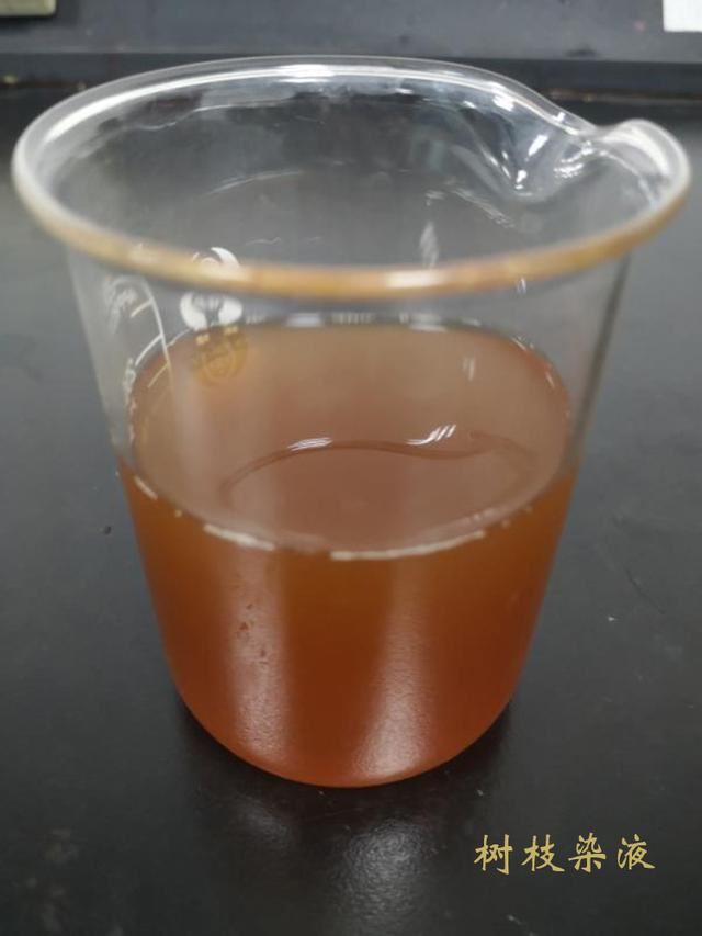 植物染料——栾树