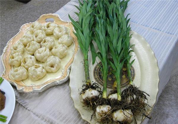 百合高产栽培技术，只需要这几点，就可以开出又大又艳的百合花