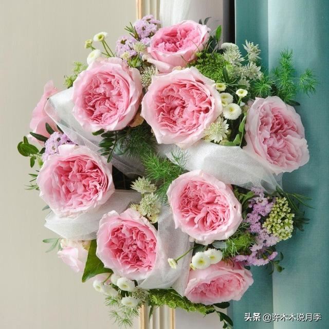 月季生病不喷药也能治好。这些病害动动手就可以搞定，亲测有效。